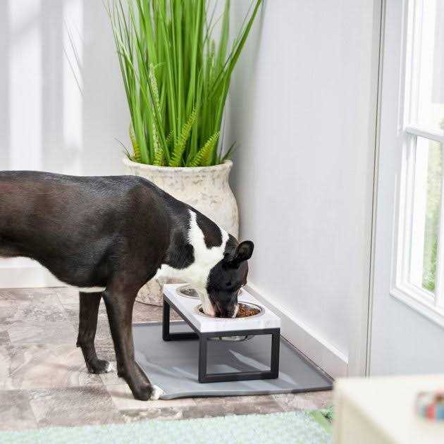 Frisco Marble Print Stainless Steel Double Elevated Dog Bowl - Healthber