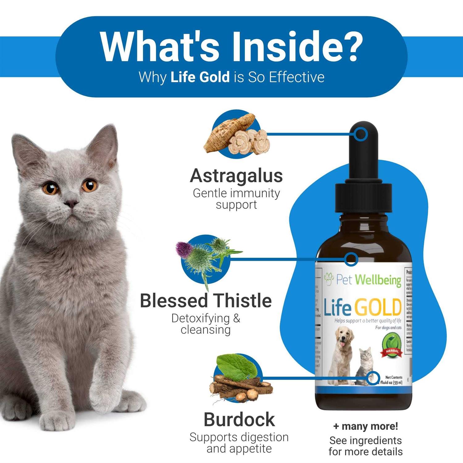 Pet Wellbeing Life Gold for Dogs - Healthber