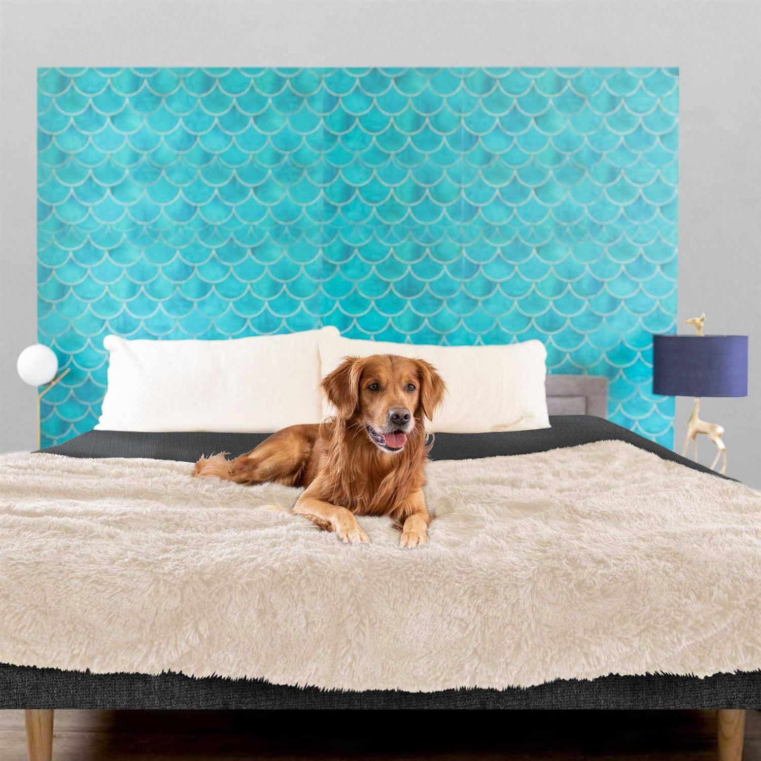 PawProof Throw Blanket - Healthber