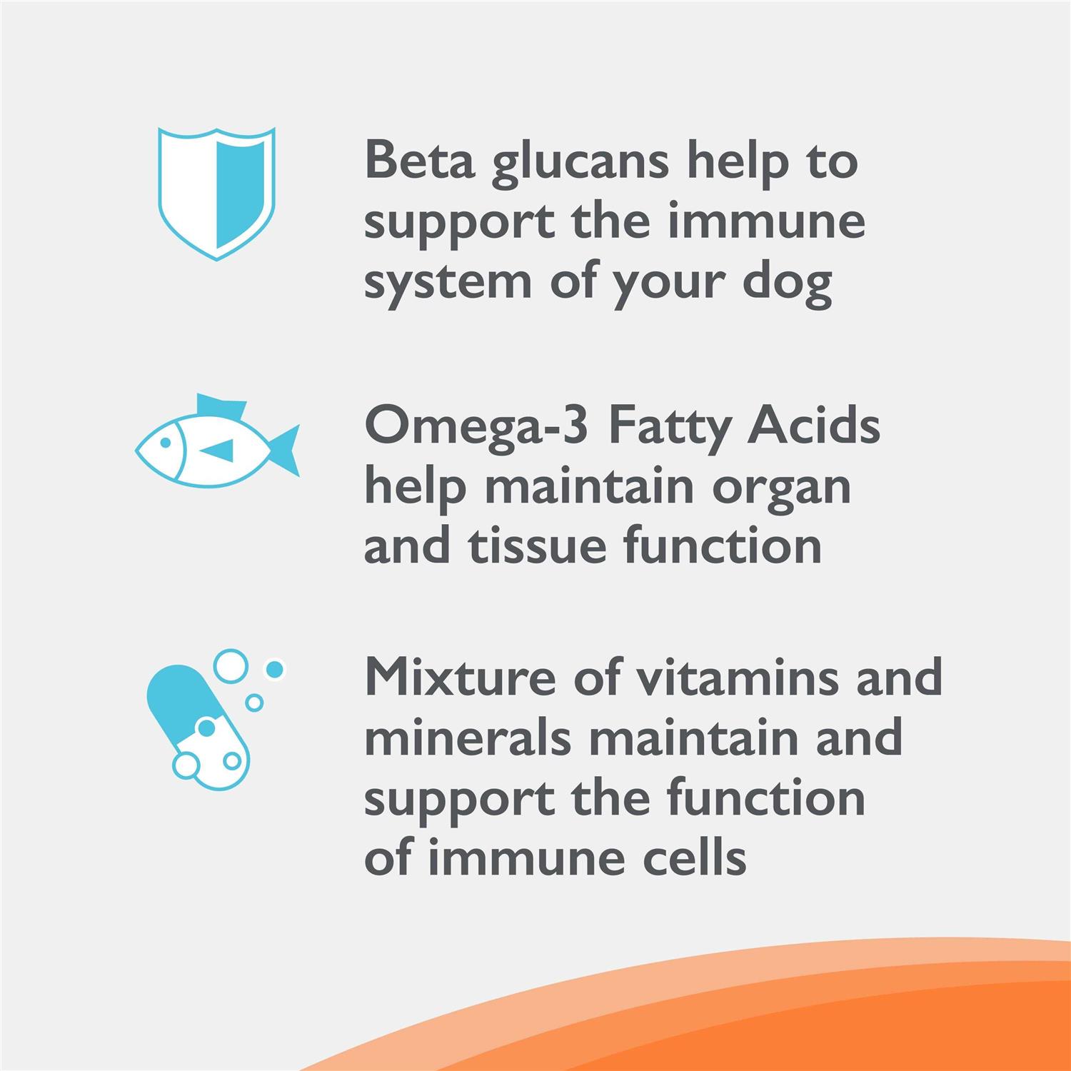 Nutramax Imuquin Immune Health Supplement Powder for Dogs - Healthber