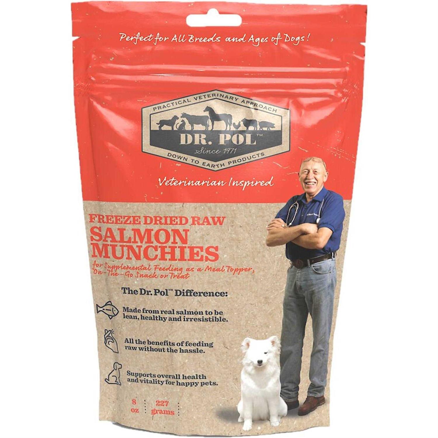 Dr. Pol Freeze Dried Munchies Salmon Dog Treat and Meal Topper - Healthber