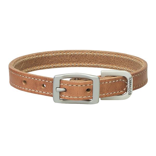 Terrain D.O.G. Harness Leather Dog Collar - Healthber
