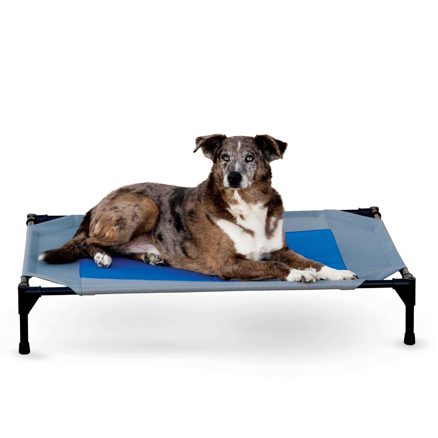 K H Pet Products Coolin’ Pet Cot - Healthber