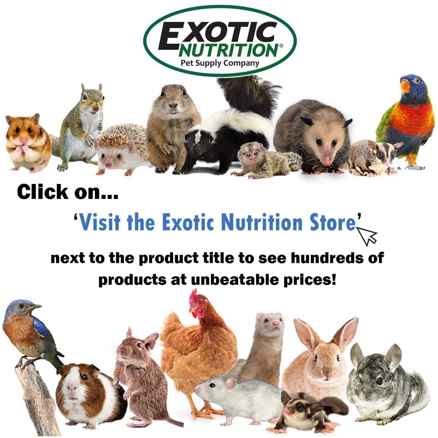 Exotic Nutrition Squirrel-Cal Calcium Supplement - Healthber