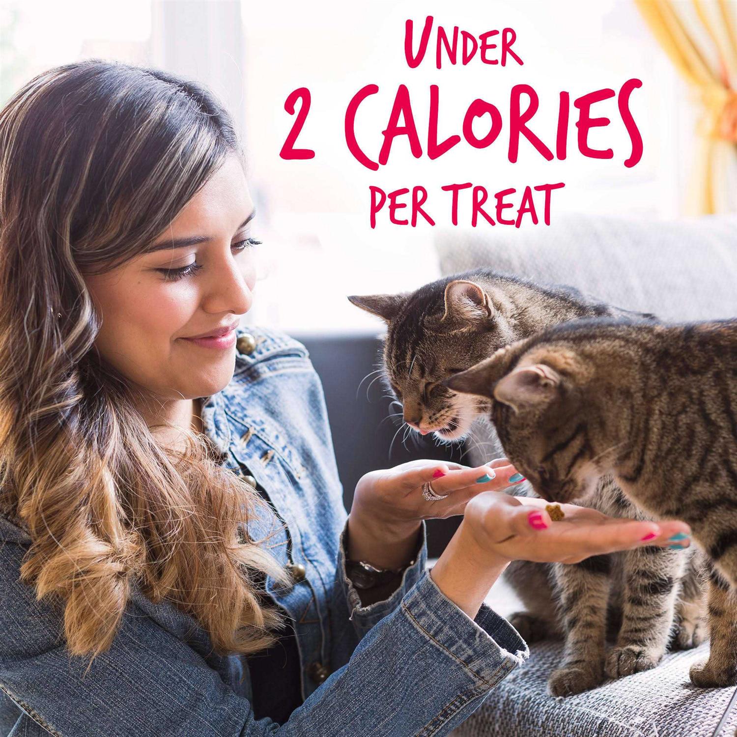 Fruitables Salmon with Cranberry Crunchy Cat Treats - Healthber