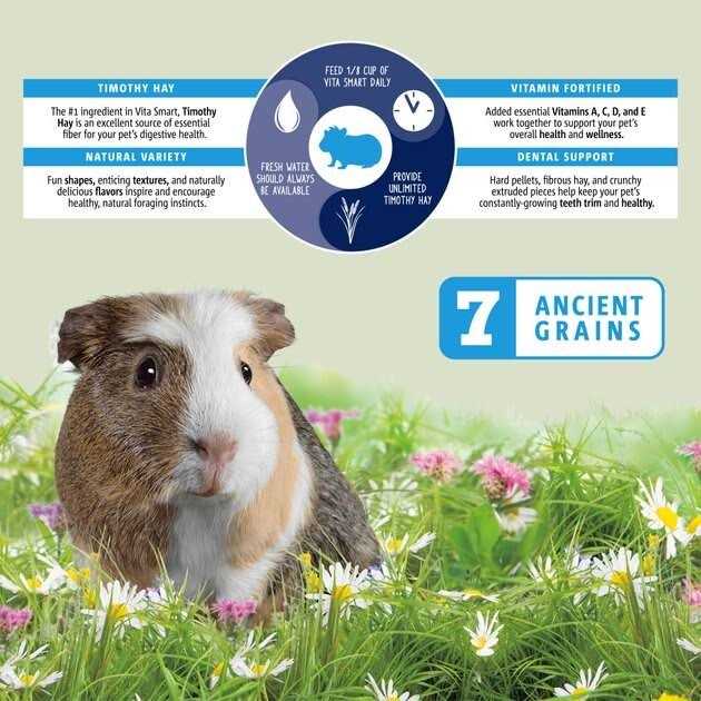 Vitakraft Vita Smart Blend Guinea Pig Food - Healthber