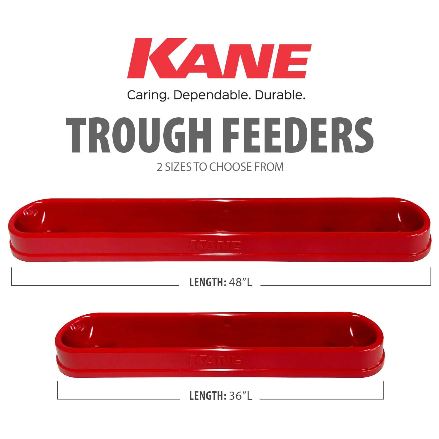 Kane Trough Feeder - Healthber