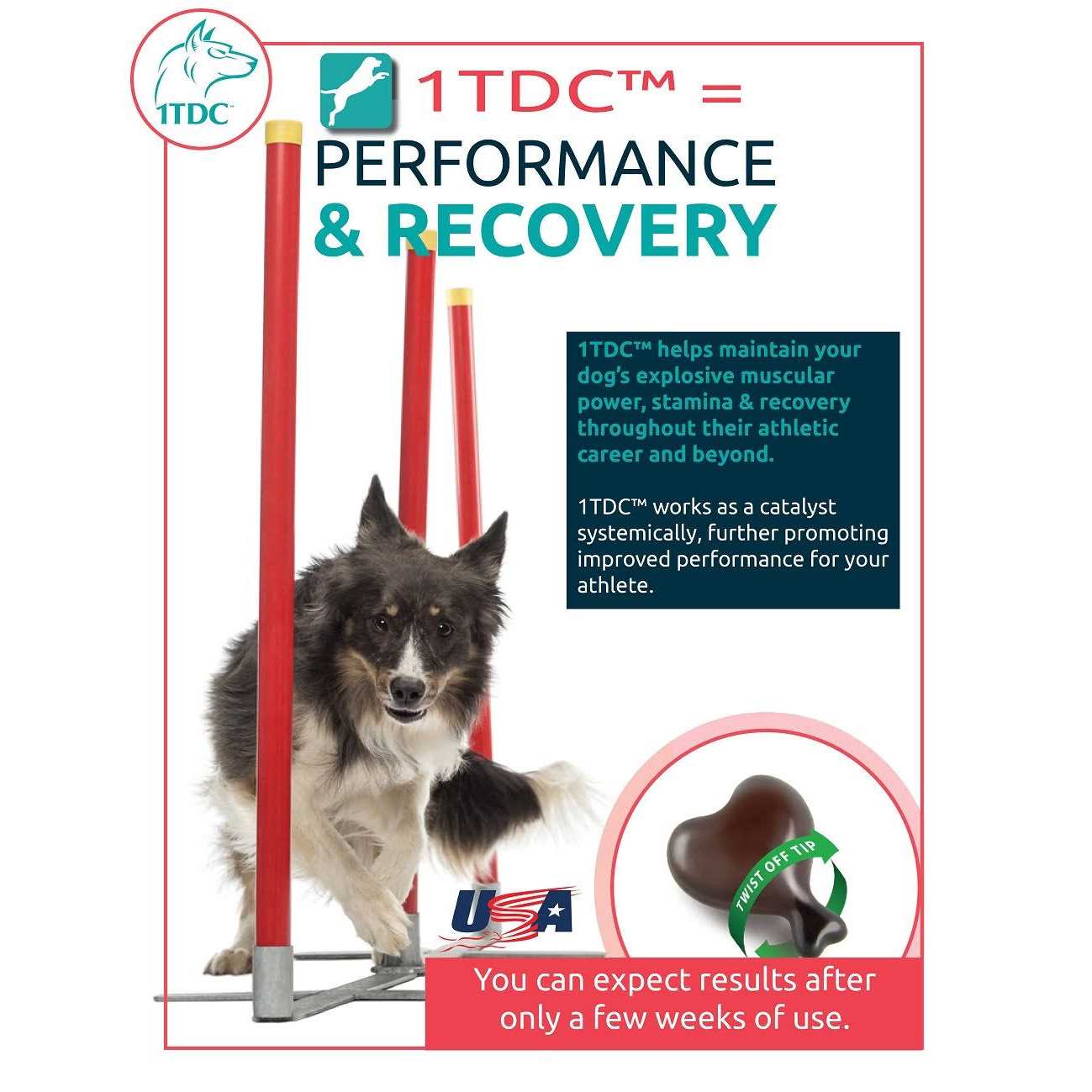1-TDC Dual Action Periodontal & Joint Health for Cats & Dogs - Healthber