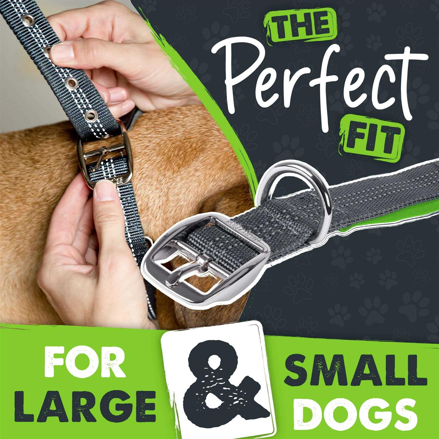 Mighty Paw Sport 2.0 Dog Collar - Healthber