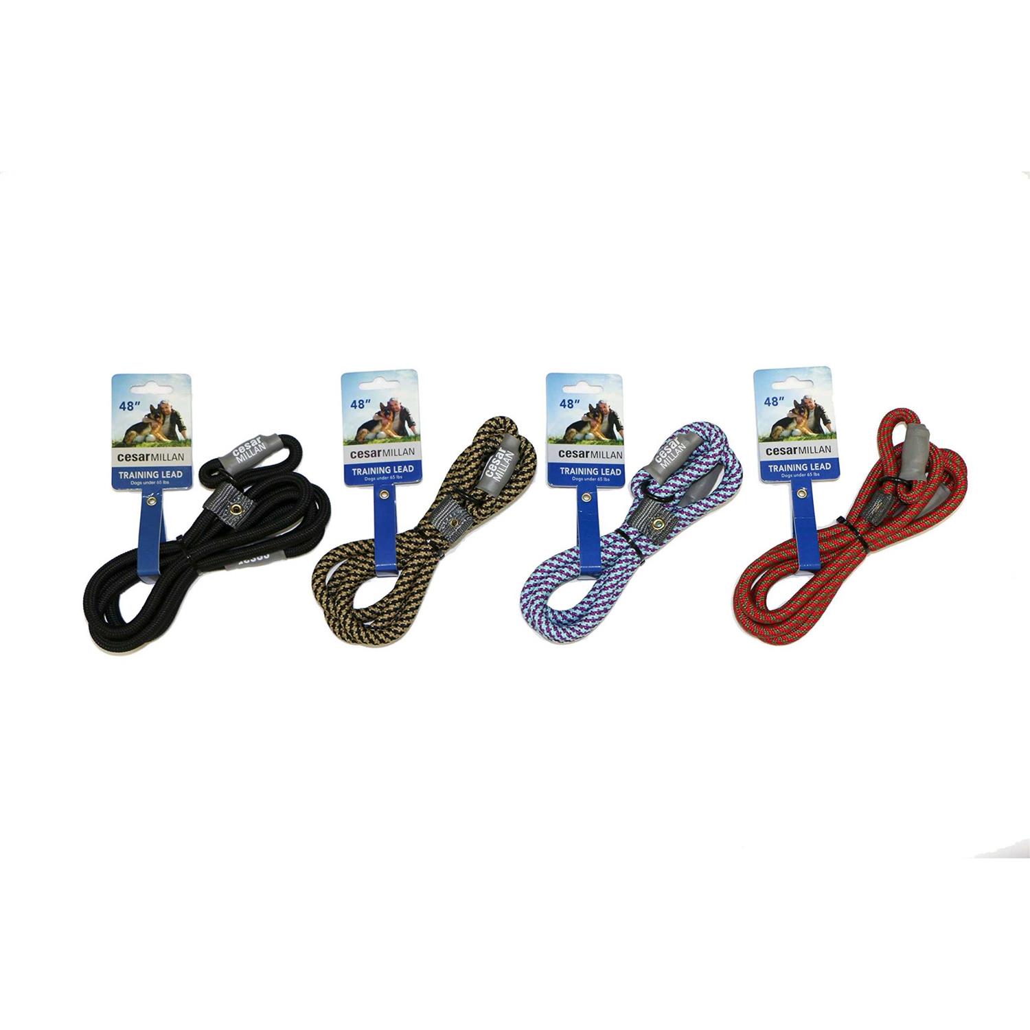 Cesar Millan Slip Lead Leash 2-in-1 Slip Collar Dog Training Lead & Collar - Healthber