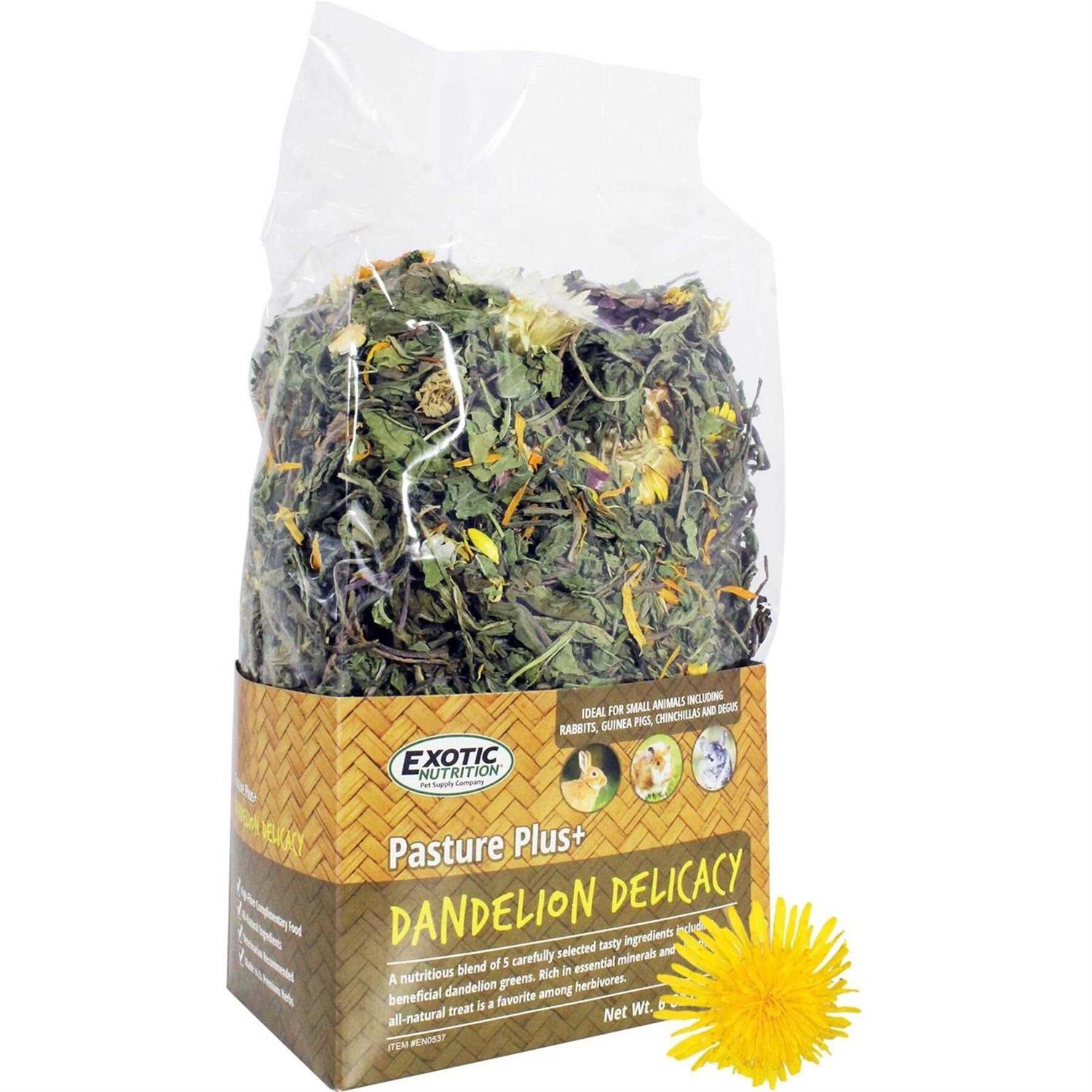 Exotic Nutrition Pasture Plus+ Dandelion Delicacy - Healthber