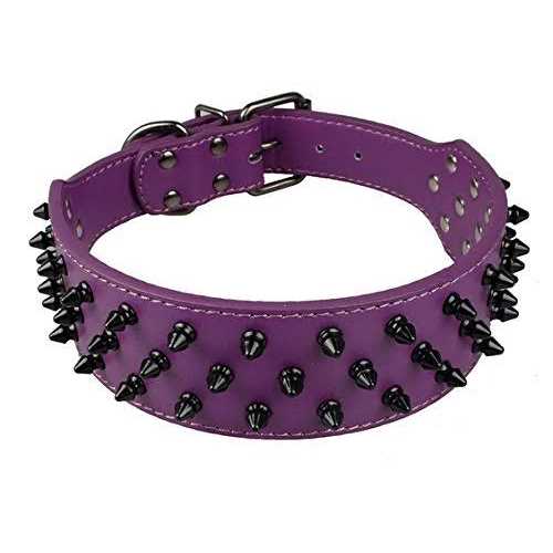 Dogs Kingdom Leather Black Spiked Studded Dog Collar 2 Wide - Healthber