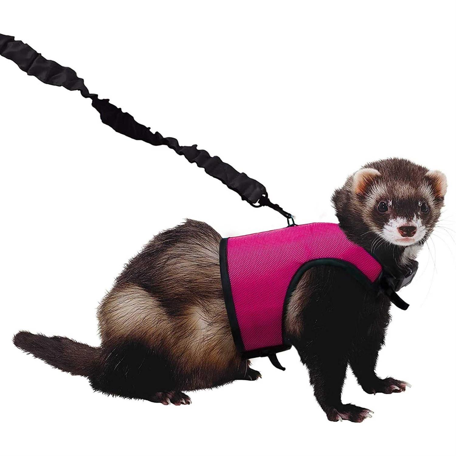 Kaytee Comfort Harness Stretchy Leash - Healthber