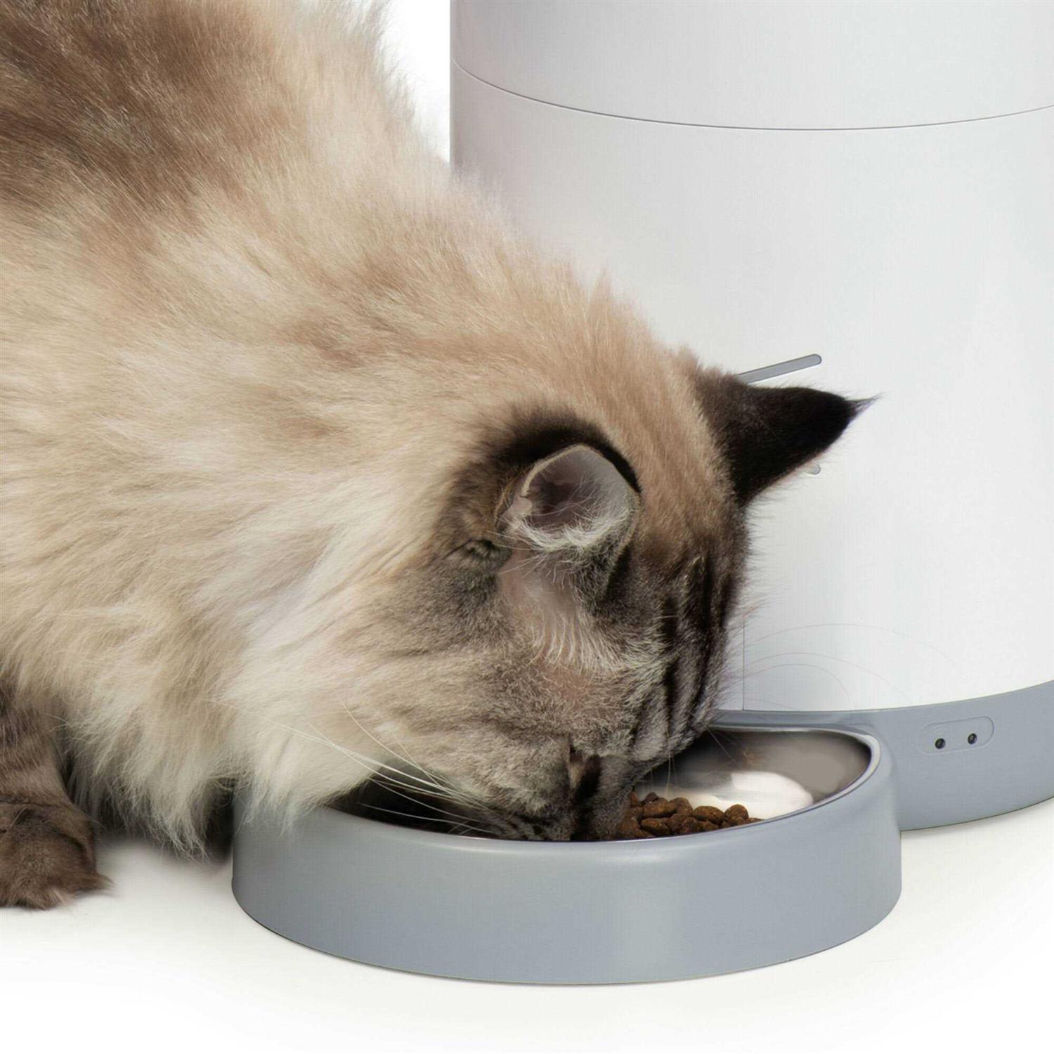 Catit Pixi Smart Feeder - Healthber