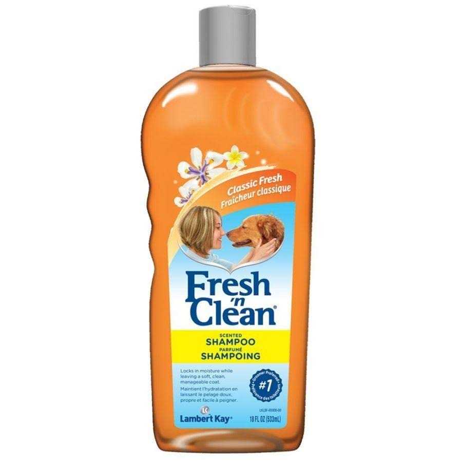 Fresh n Clean Scented Shampoo - Healthber