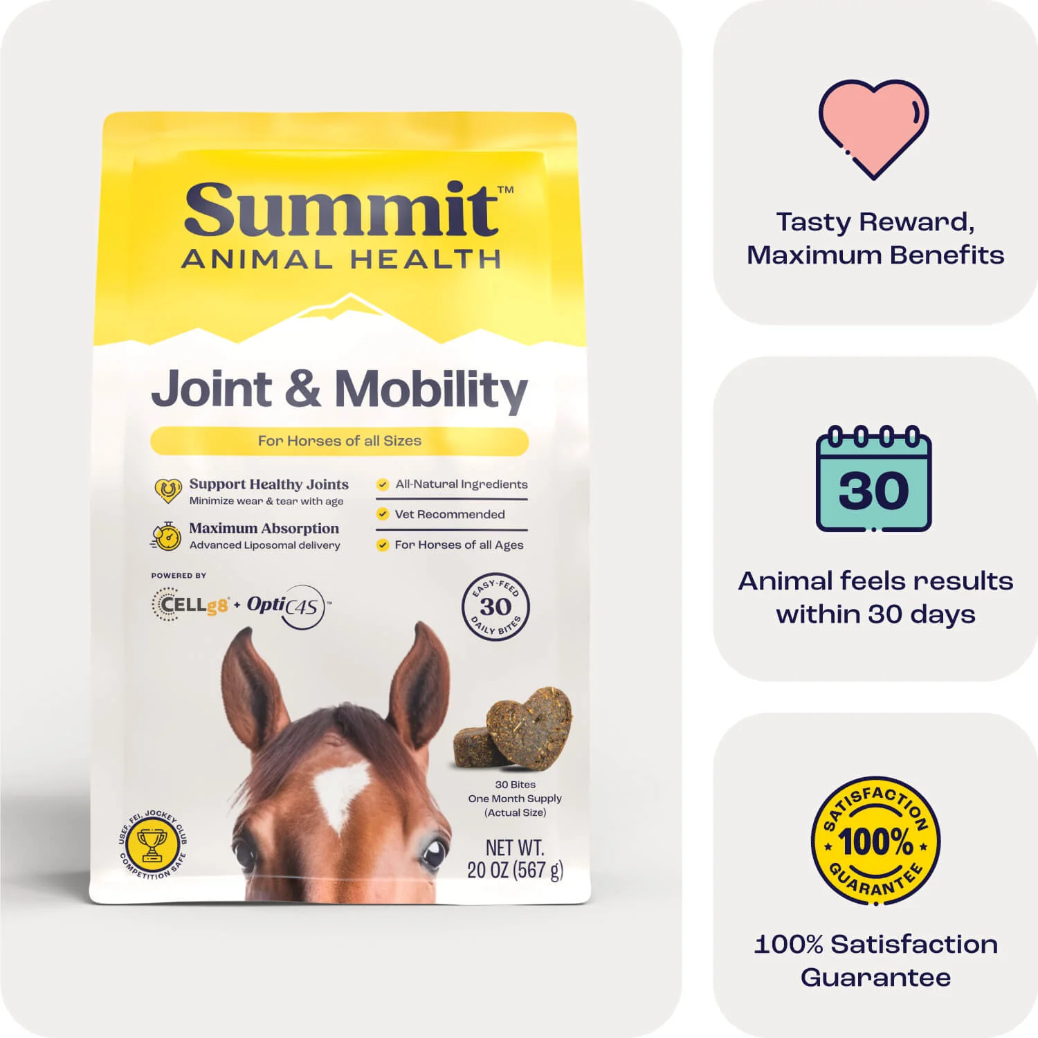 Summit Animal Health - Joint & Mobility Bites for Horses, 30 ct - Healthber