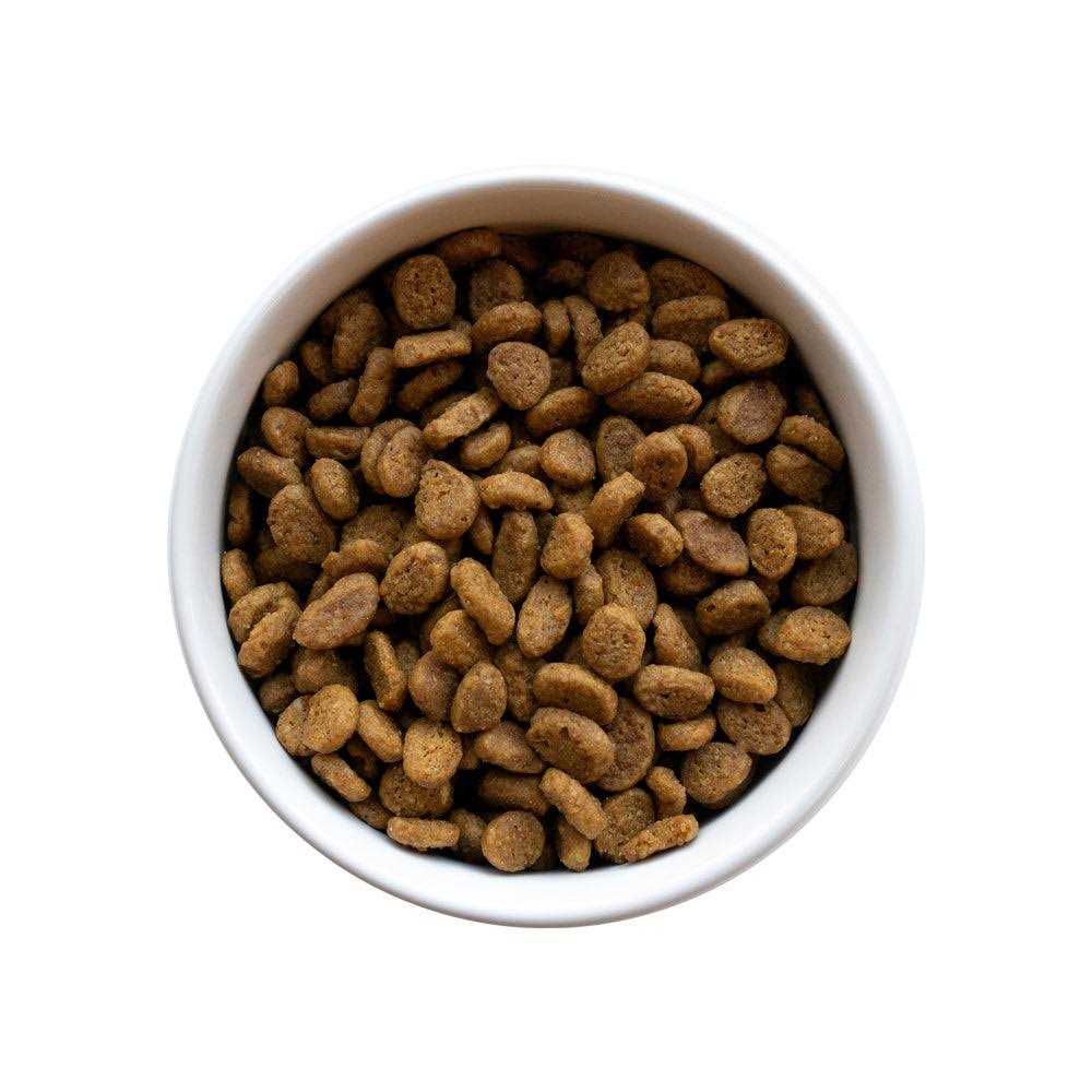 Purina Pro Plan LIVECLEAR Senior Adult Prime Plus Longer Life Formula Cat Food - Healthber