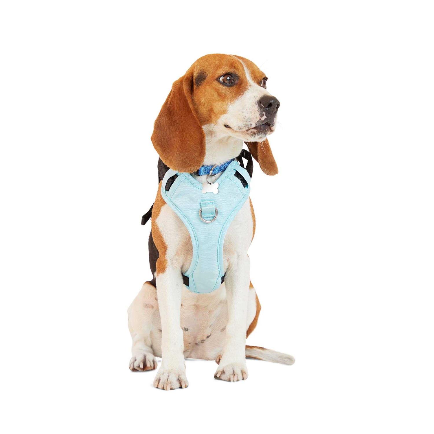 EveryYay Teal Crash Test Dog Harness - Healthber