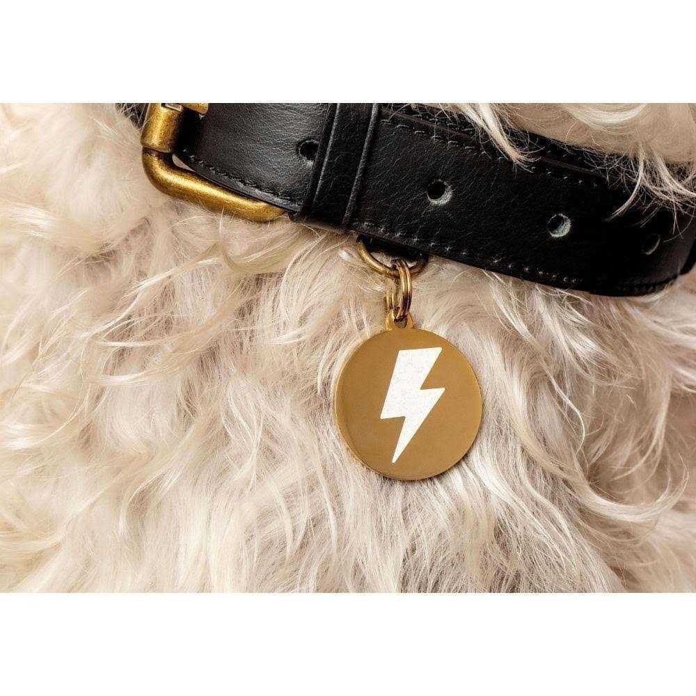 Two Tails Pet Company Lightning Bolt Pet ID Tag - Healthber