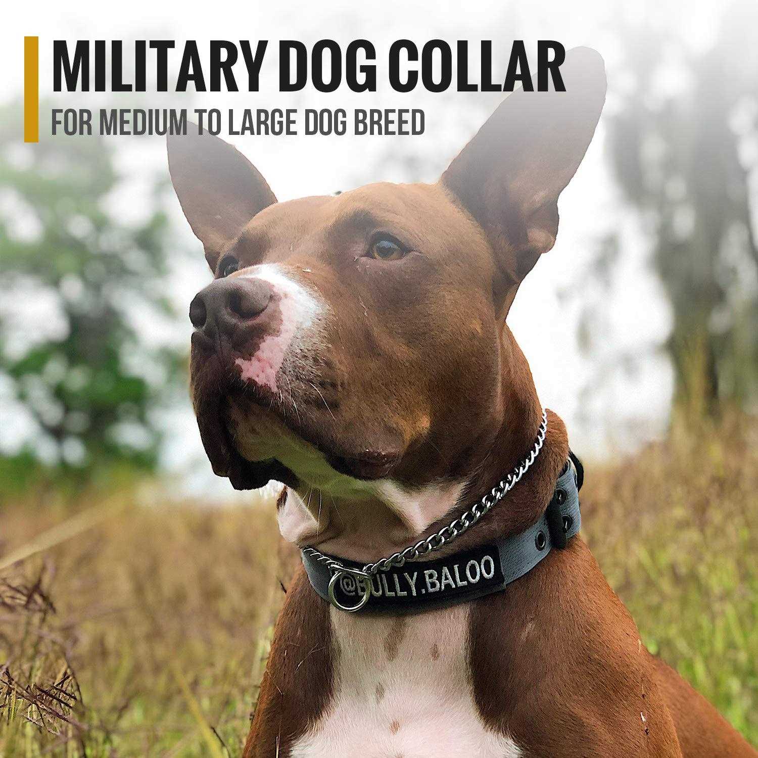 Onetigris Military Adjustable Dog Collar with Metal D Ring Buckle 2 Sizes - Healthber