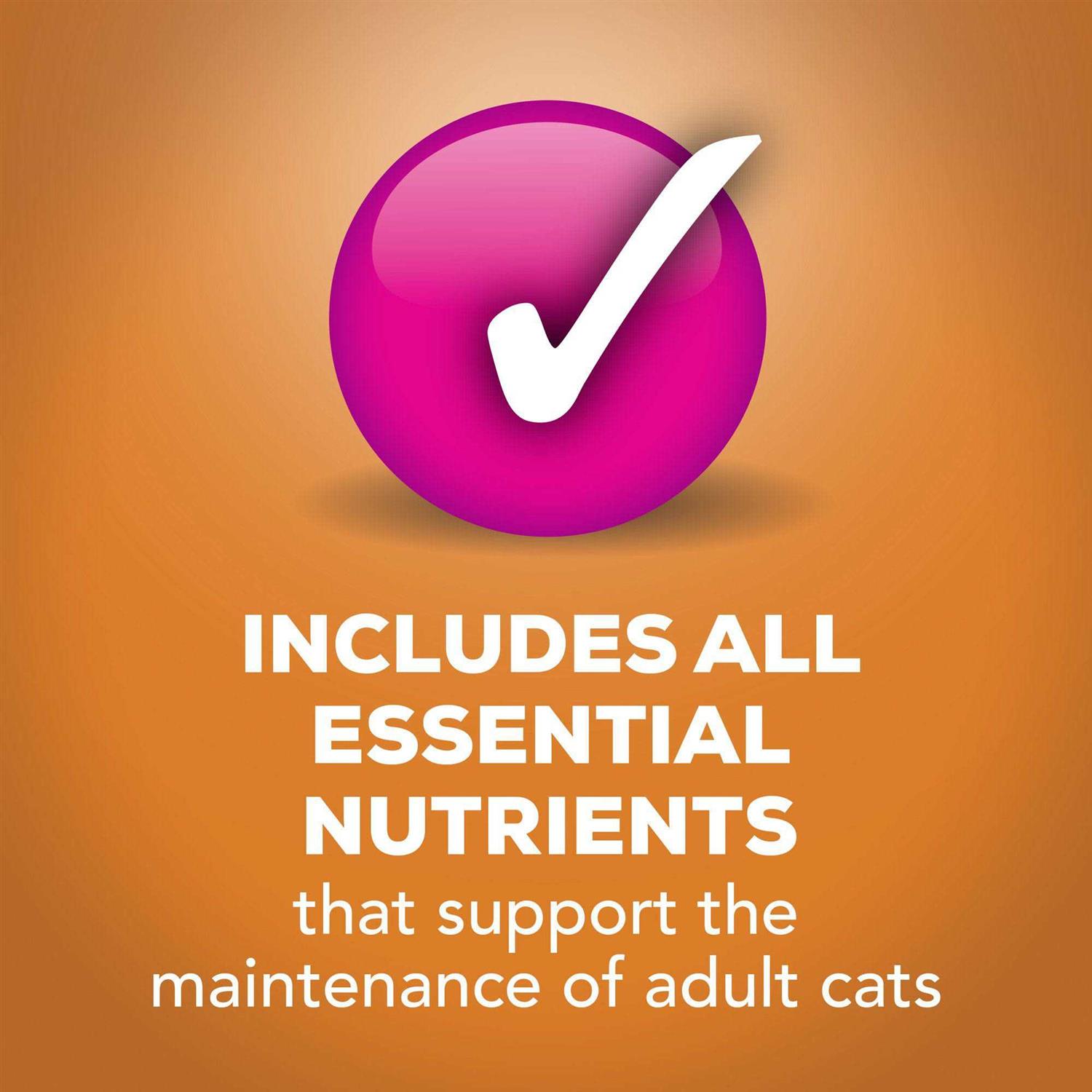 Purina Friskies Extra Gravy Pate Wet Cat Food Gravy - Healthber
