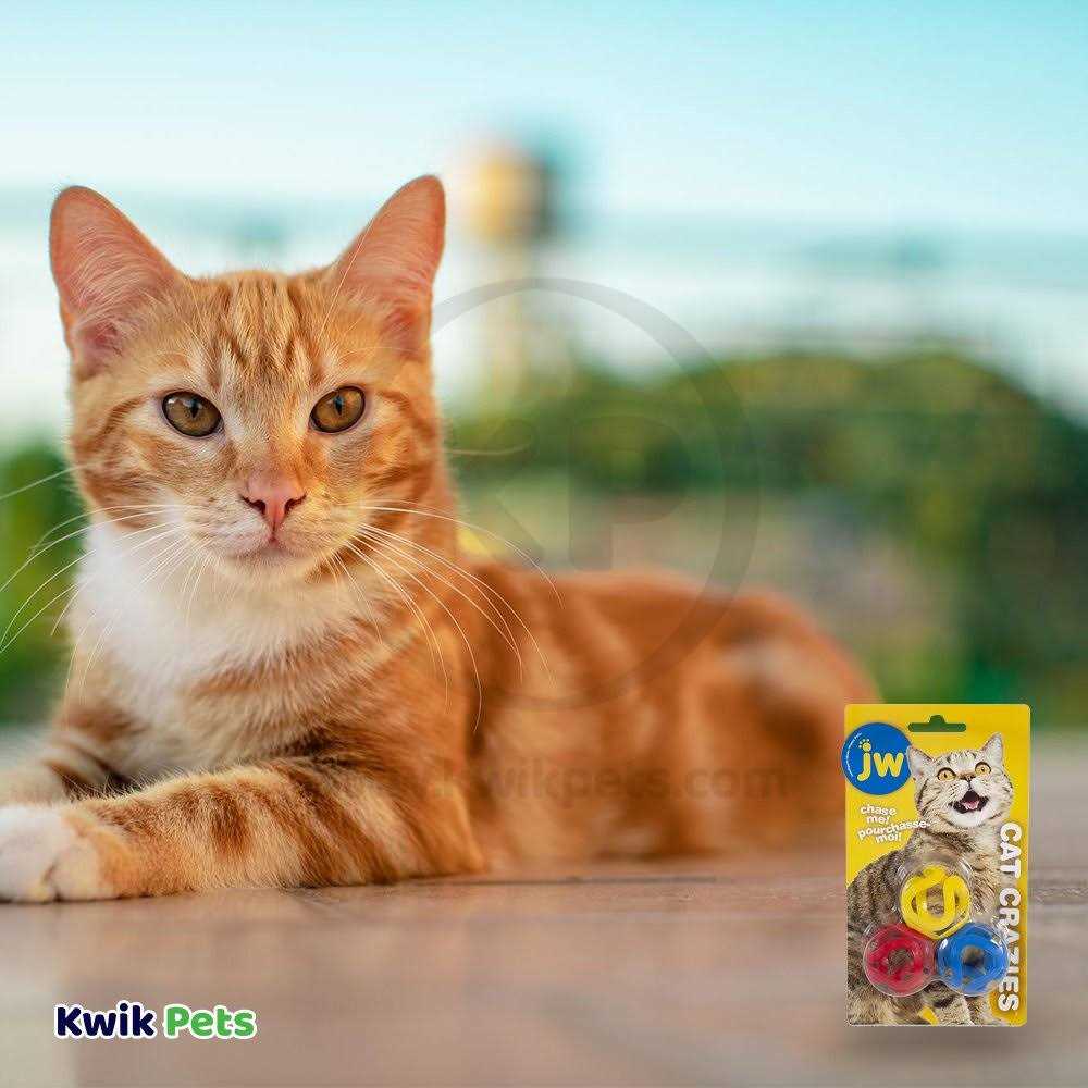 JW Pet Cat Crazies Toy - Healthber
