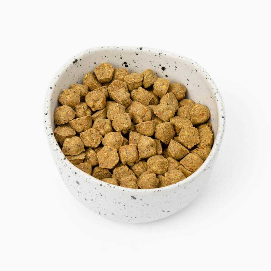 Petaluma Baked Pumpkin & Peanut Butter Flavor 5 lb - Healthber
