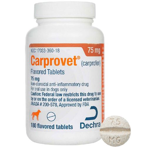 Rx Carprovet (carprofen) Flavored Tablets for Dogs - Healthber
