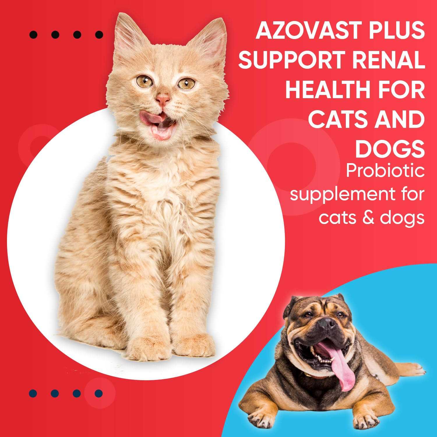 Pet Health Pharma Azovast Plus Kidney Health Supplement for Dogs & Cats - Healthber