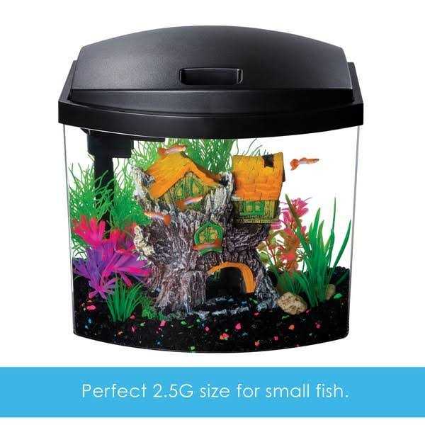 Interpet 2.5 Aquatic Starter Kit - Healthber