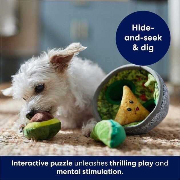 Frisco Guacamole Hide & Seek Puzzle Plush Squeaky Dog Toy - Healthber
