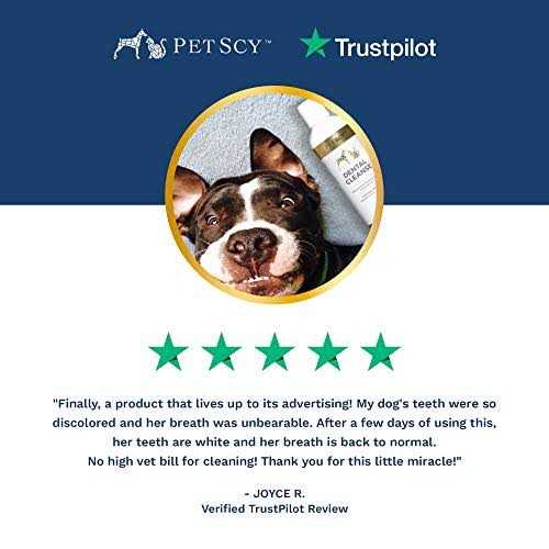 PetScy Dental Cleanse for Dogs & Cats - Healthber