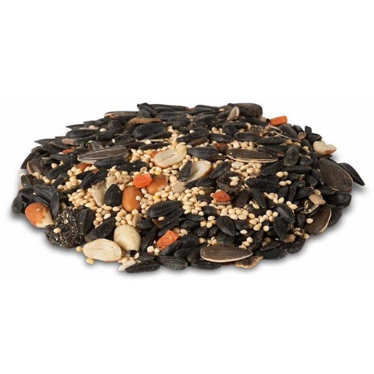 Royal Wing Fruit and Nut Bird Food Mix - Healthber