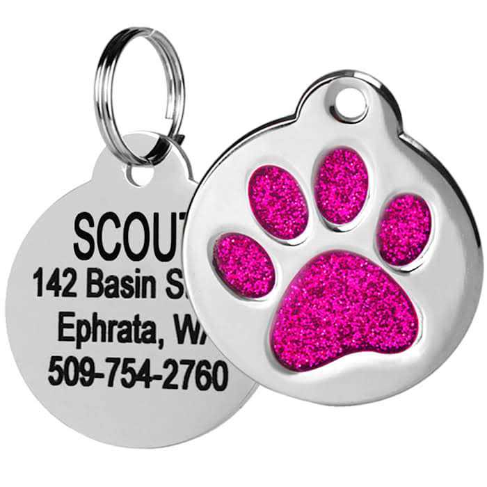 Frisco Stainless Steel Personalized Dog & Cat ID Tag - Healthber