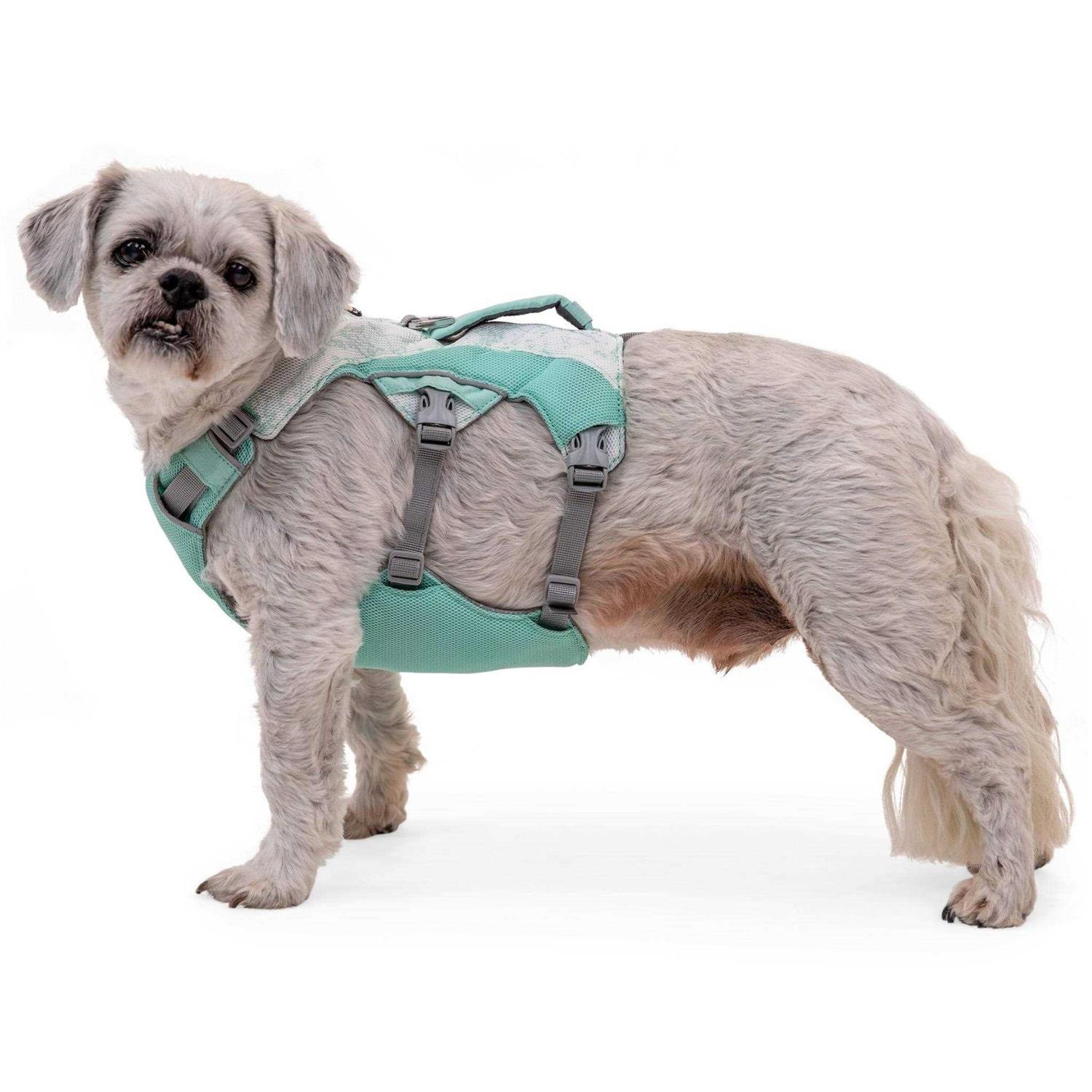Ruffwear Swamp Cooler Dog Harness - Healthber