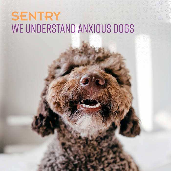 Sentry Stop That! Behavior Correction Spray for Dogs - Healthber
