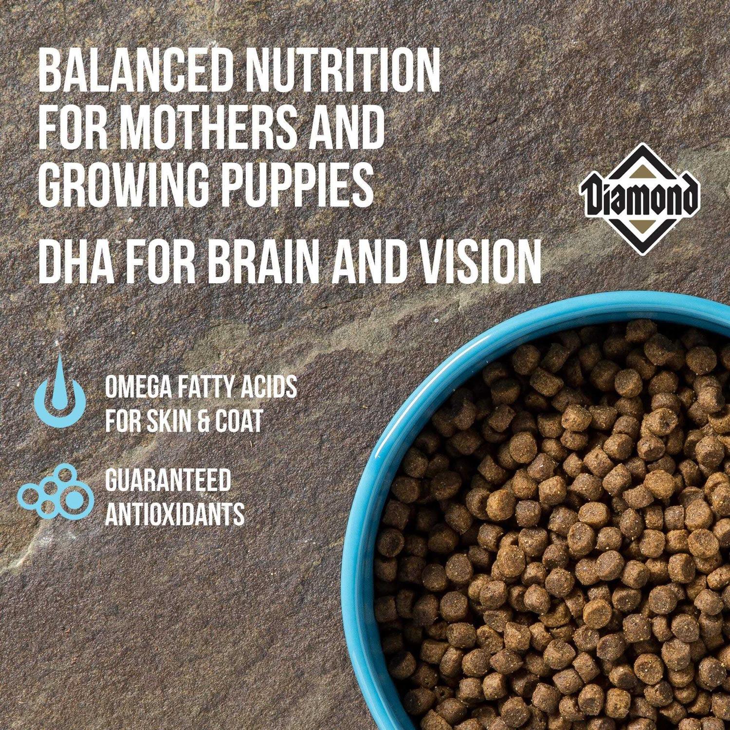 Diamond Puppy Food - Healthber