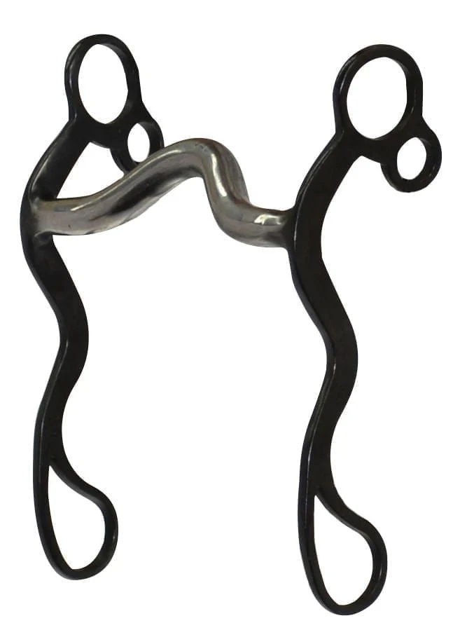 Diamond R Medium Port Cowboy Shank Bit - Healthber