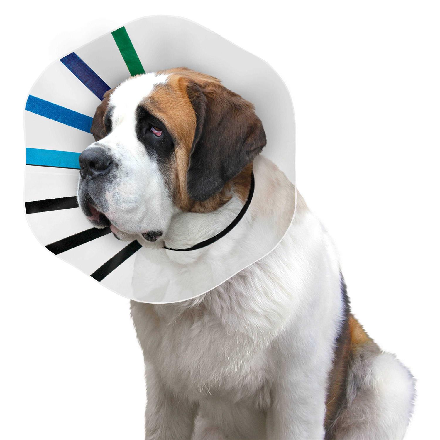 Kong EZ Clear Collar - Healthber