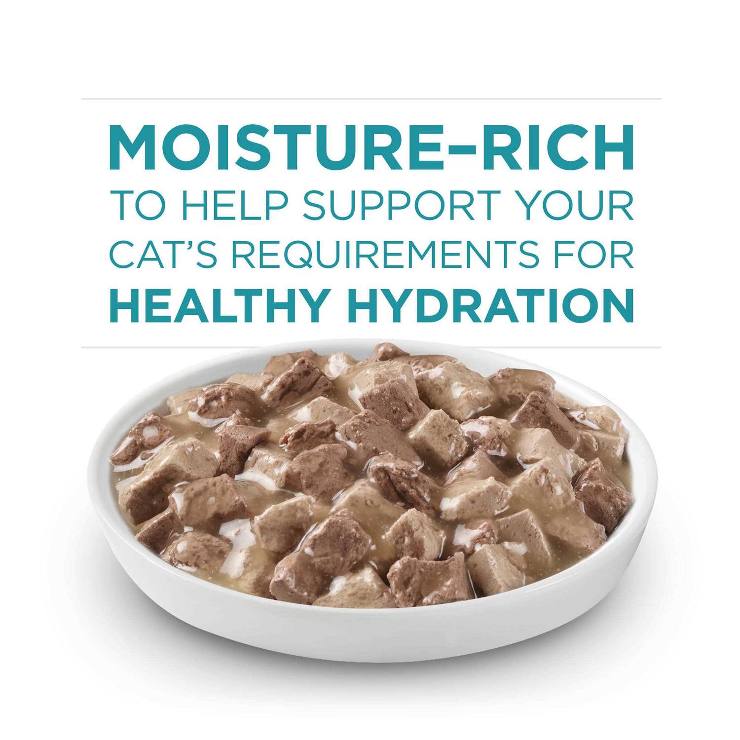 Purina ONE True Instinct Cat Food - Healthber