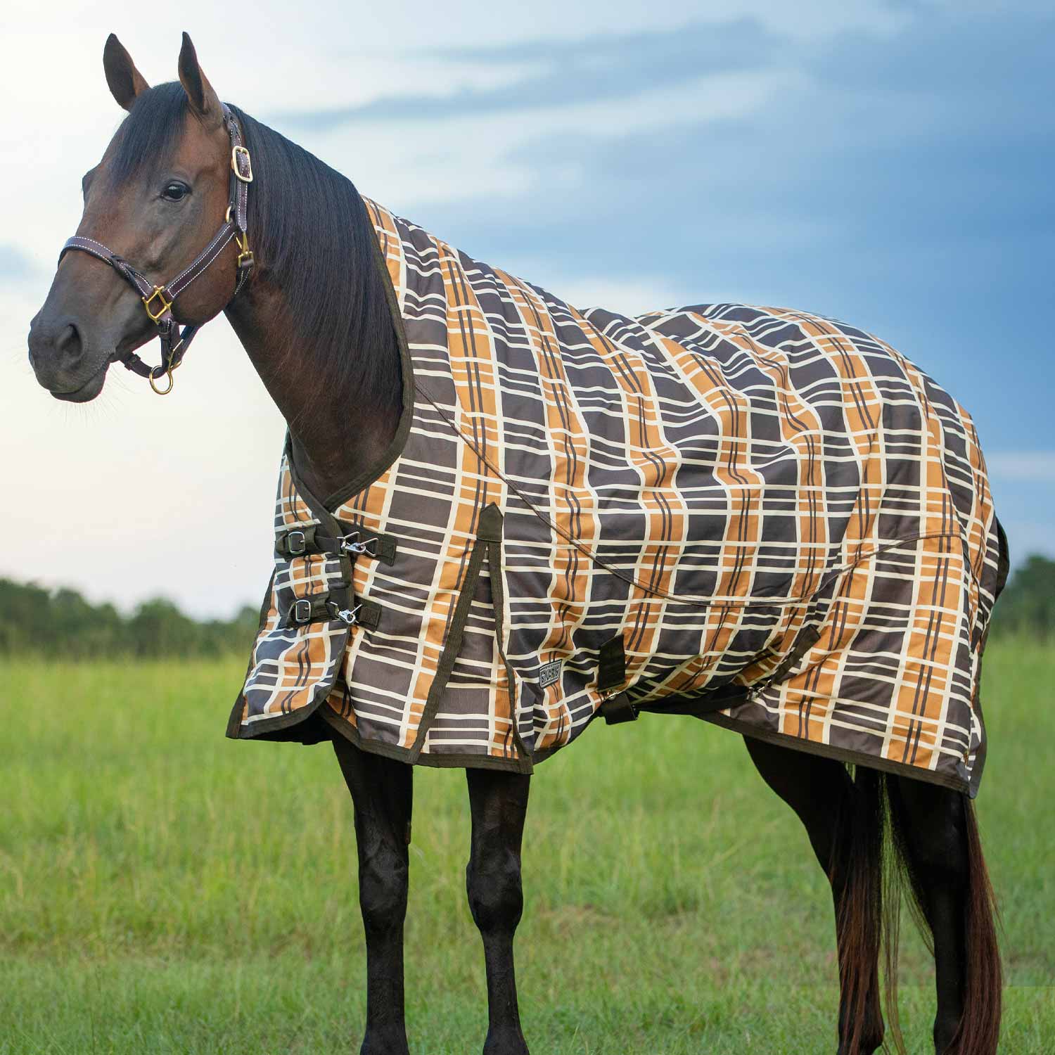 Solaris Extended Neck Horse Turnout Blanket, 1200 Denier, Brown & Cream Plaid - Healthber