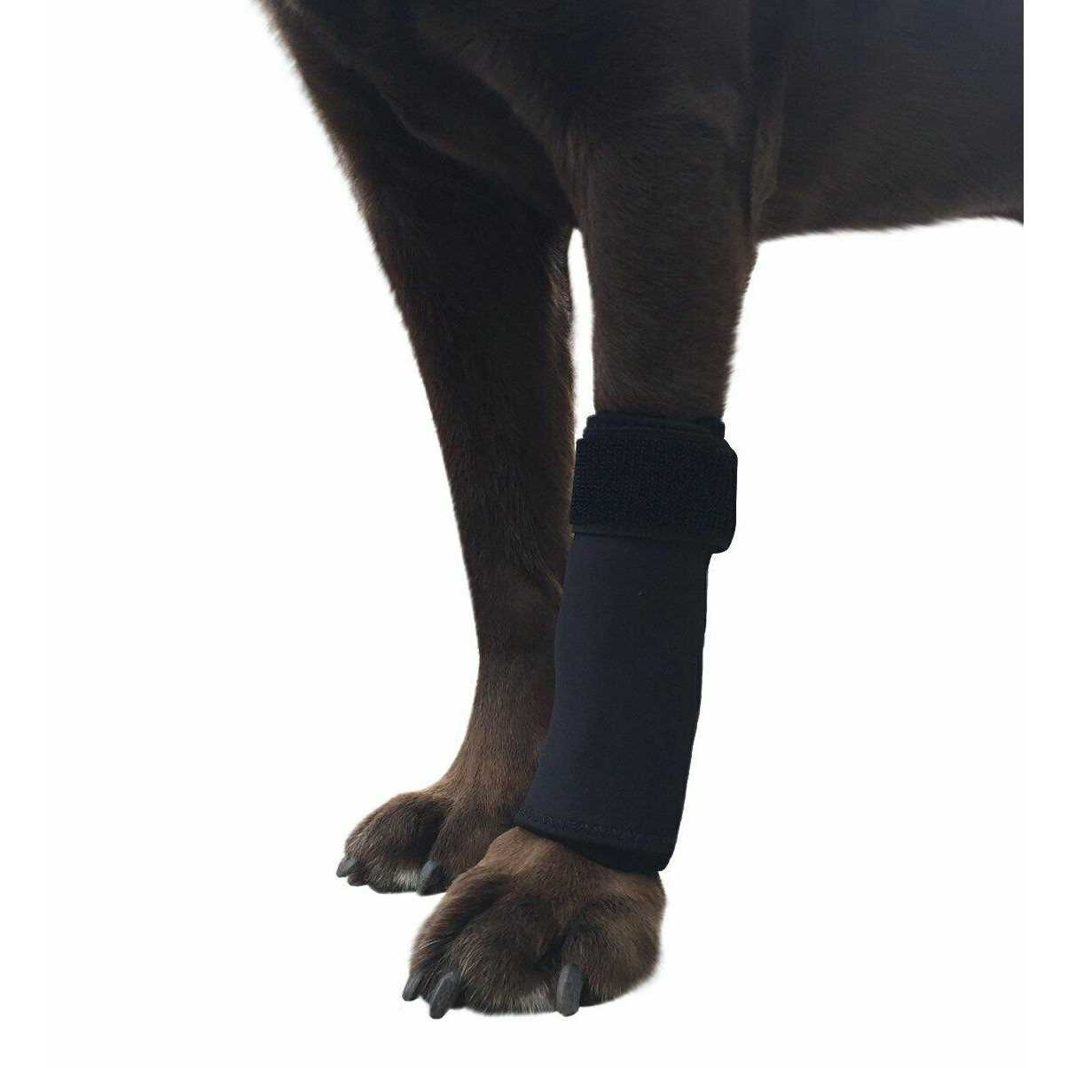 Labra Co. Dog Canine Front Leg Compression Brace Wrap Sleeve Protects Wounds Brace Heals and Prevents Injuries and Sprains Helps with Loss of - Healthber