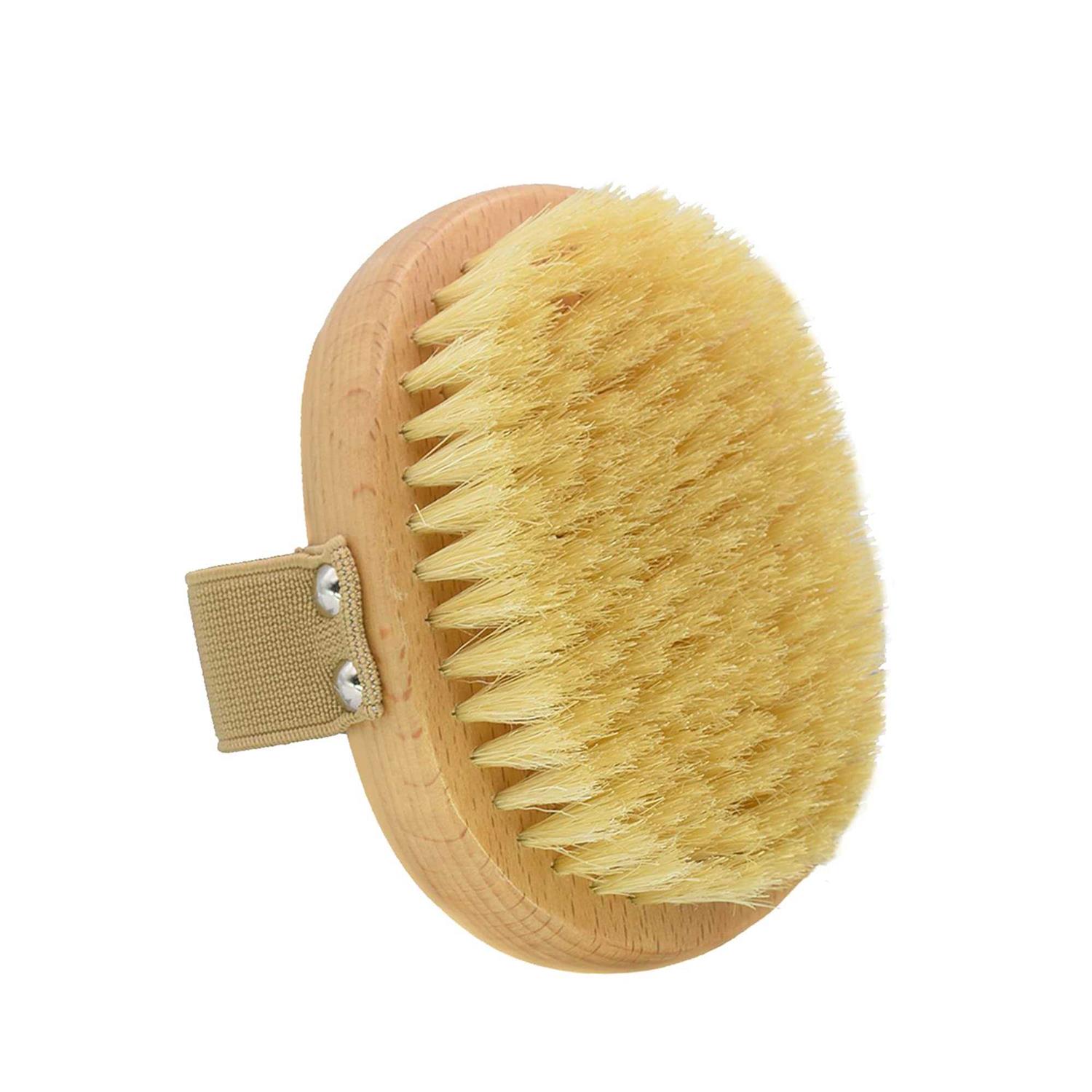 casidoxi soft bristle dog brush for short haired cats dogs with elastic band - Healthber