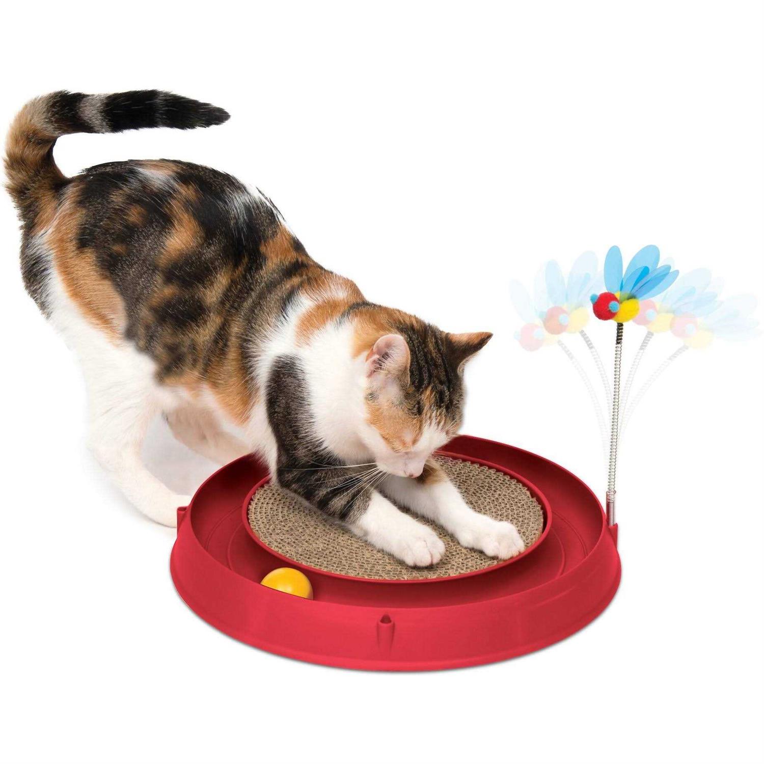 Catit Play Circuit Ball Toy with Scratch Pad - Healthber