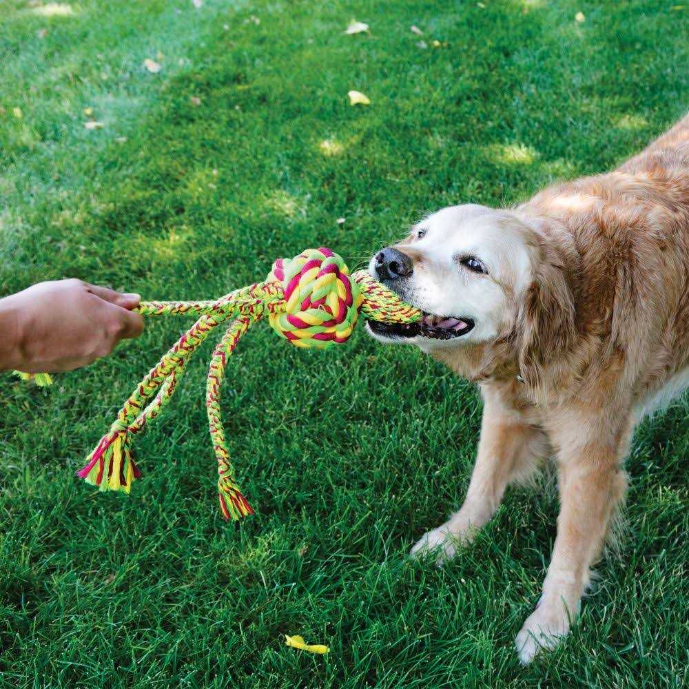 Kong Wubba Dog Toy - Healthber