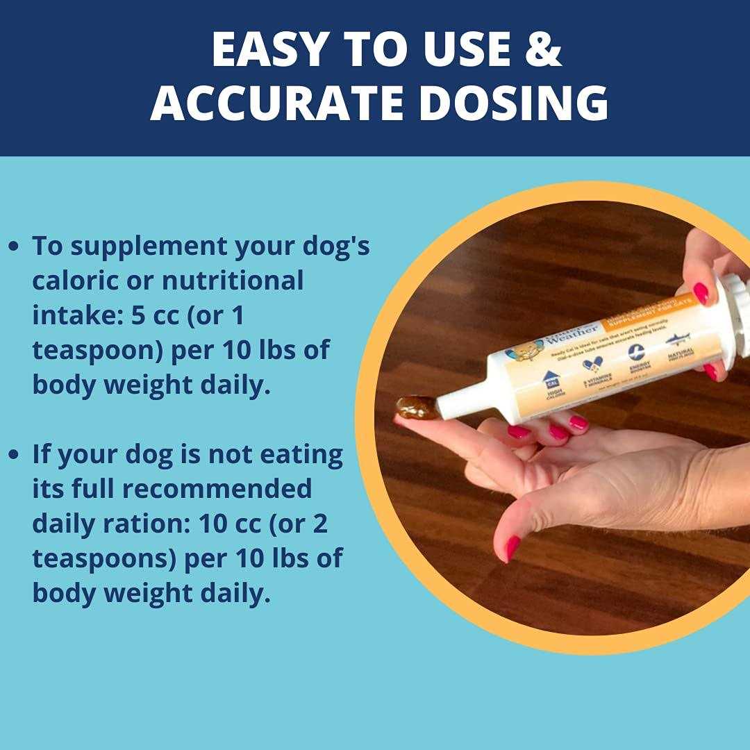 Under the Weather Ready Cal High-Calorie Supplement for Dogs - Healthber