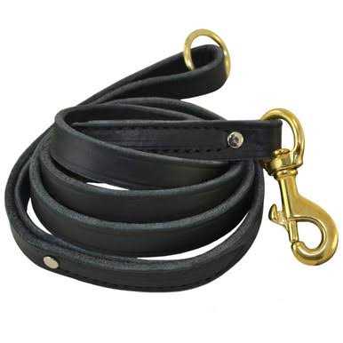 Standard Obedience Leash with O-Ring - Healthber