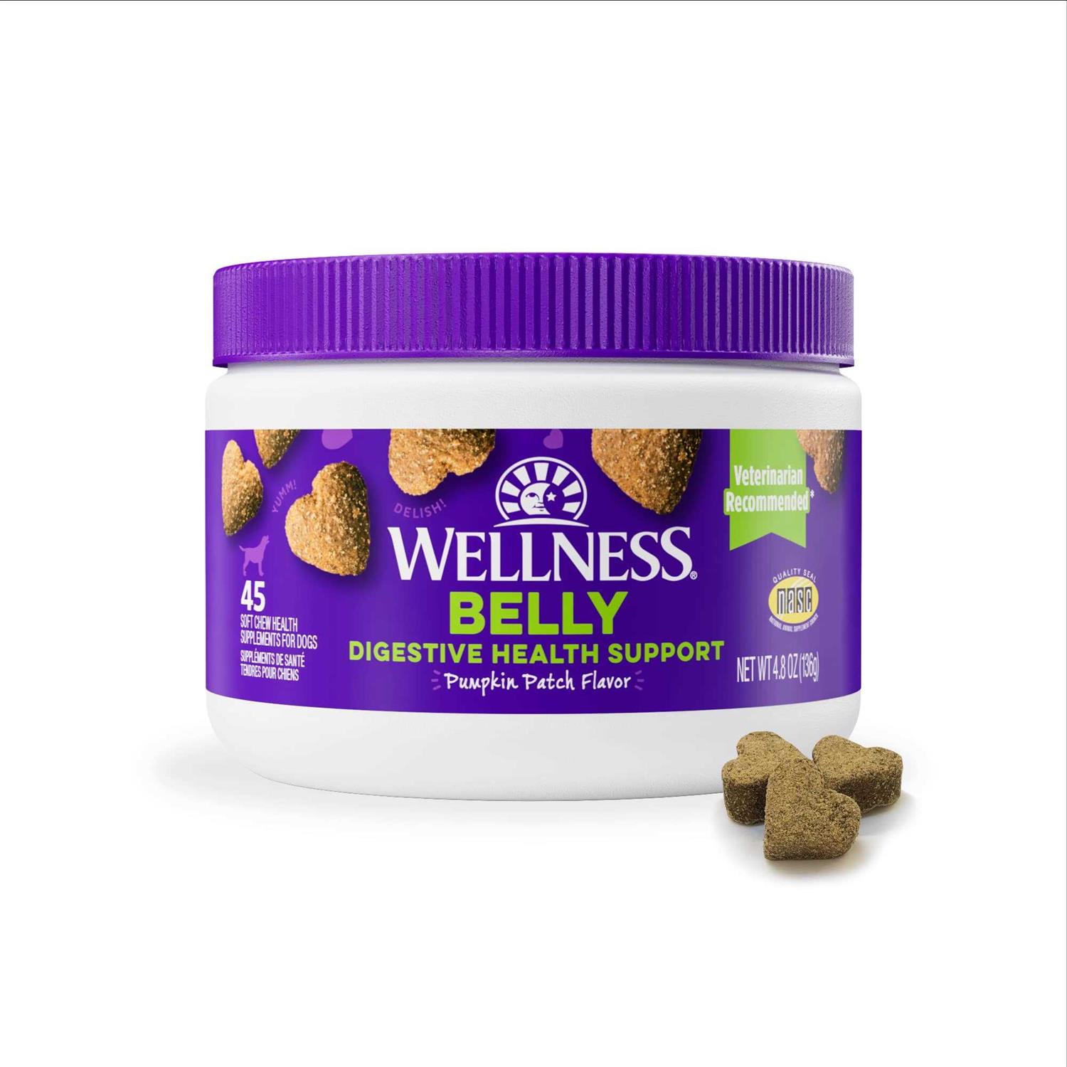 Wellness Pumpkin Patch Flavored Soft Chew Digestive Health Supplements for Dogs - Healthber