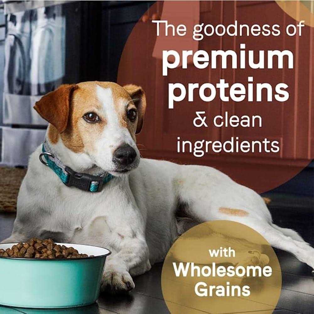 Canidae Pure Grain Free Salmon & Sweet Potato Adult Dry Dog Food - Healthber