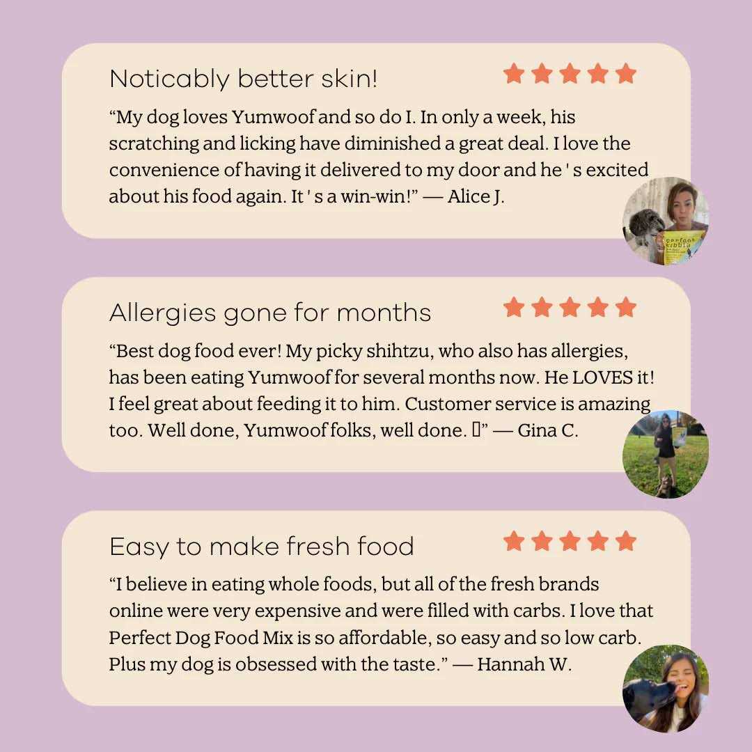 Perfect Dog Food Mix - Healthber